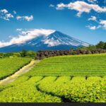 FunOS: Quando Ubuntu Incontra JWM