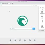 Basilik Browser: Un’alternativa Versatile per la Navigazione