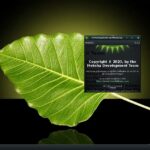 Recensione Bodhi Linux 7.0