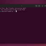Come Installare e Utilizzare Fish Shell