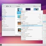 KDE 6 Service Menu ReImage Potenzia il Tuo Gestore di File Dolphin