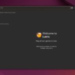 Lutris 0.5.20: Proton migliorato e nuova sorgente Steam Family