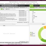 Screaming Frog su Linux
