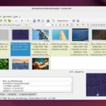 XnView Editor di Immagini Versatile e Gratuito in Linux