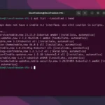 Come Elencare i Pacchetti Installati su Linux