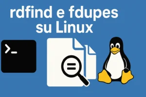 file duplicati linux