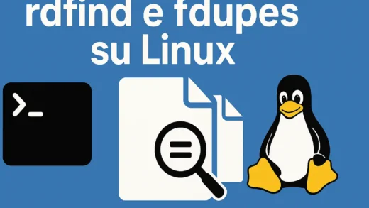 File Duplicati in Linux