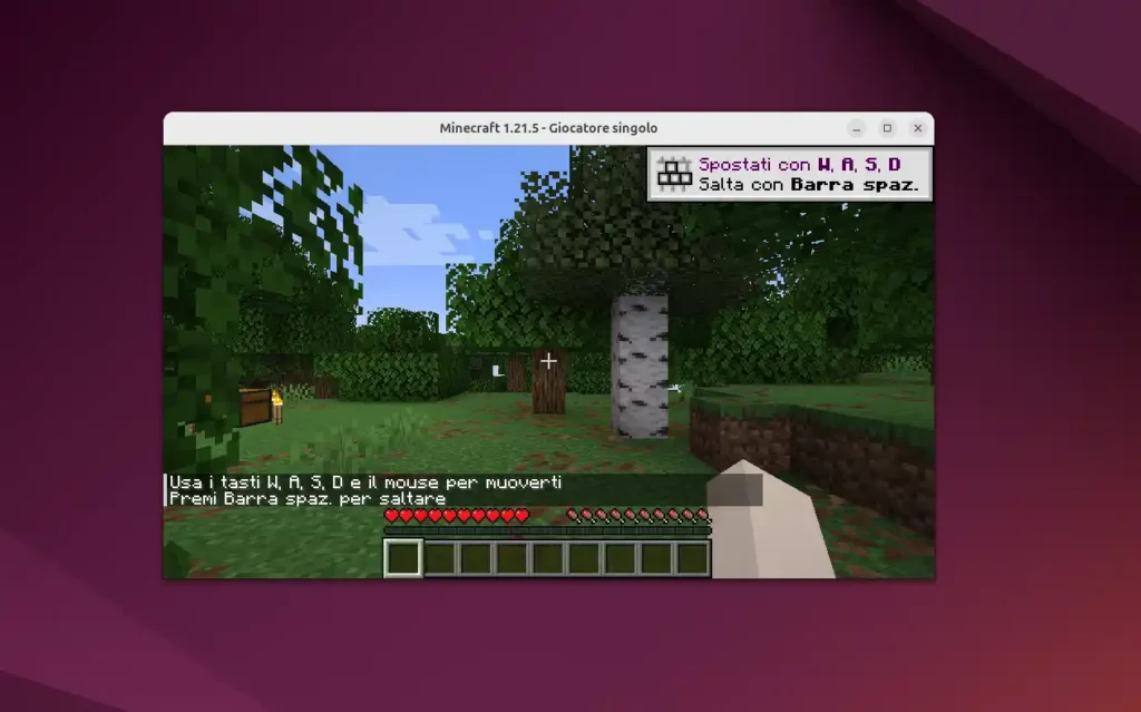 Minecraft su Linux