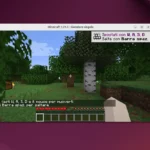 Come installare Minecraft su Linux