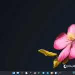 OpenMandriva Lx 6.0