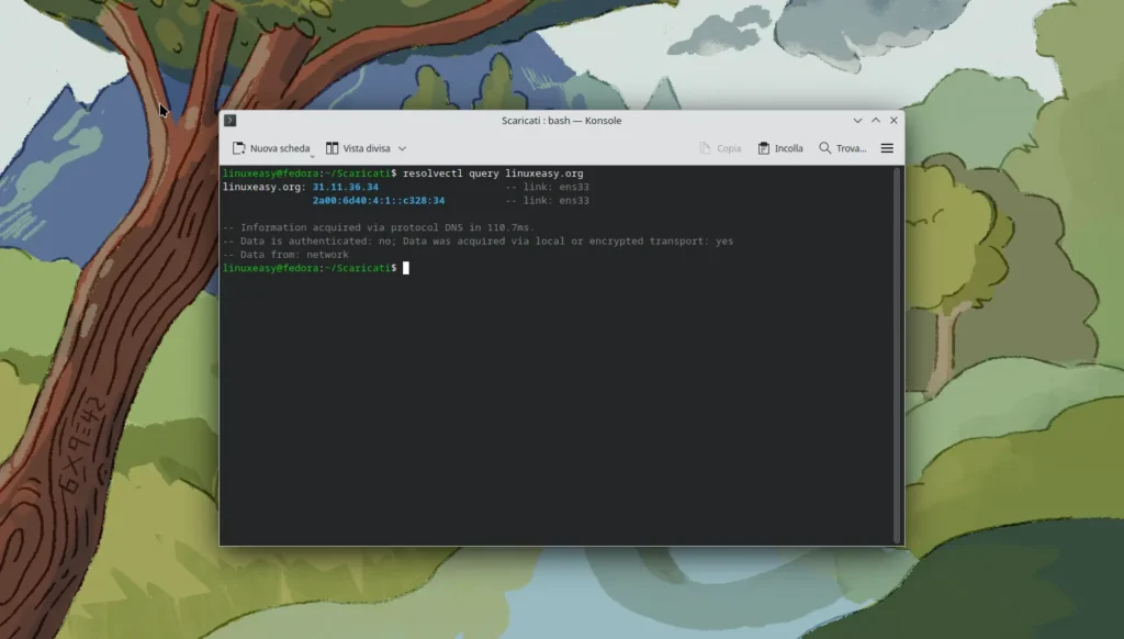 systemd-resolved