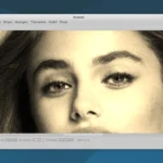 Drawish strumento di disegno semplice per Linux