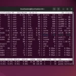 Monitoraggio della Cronologia dei Processi su Linux