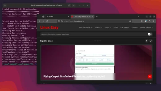 Ferron web server