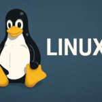 Chwoot: Una Vulnerabilità Critica Colpisce la Maggior Parte dei Sistemi Linux