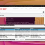 Nyxt il browser che sfida le convenzioni