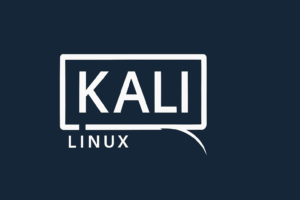 kali linux