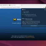 Mullvad Browser ossia Firefox con Tor e VPN di default