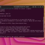 Come installare .NET SDK o .NET Runtime su Ubuntu