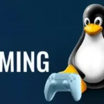 Il futuro del gaming è Linux o no?