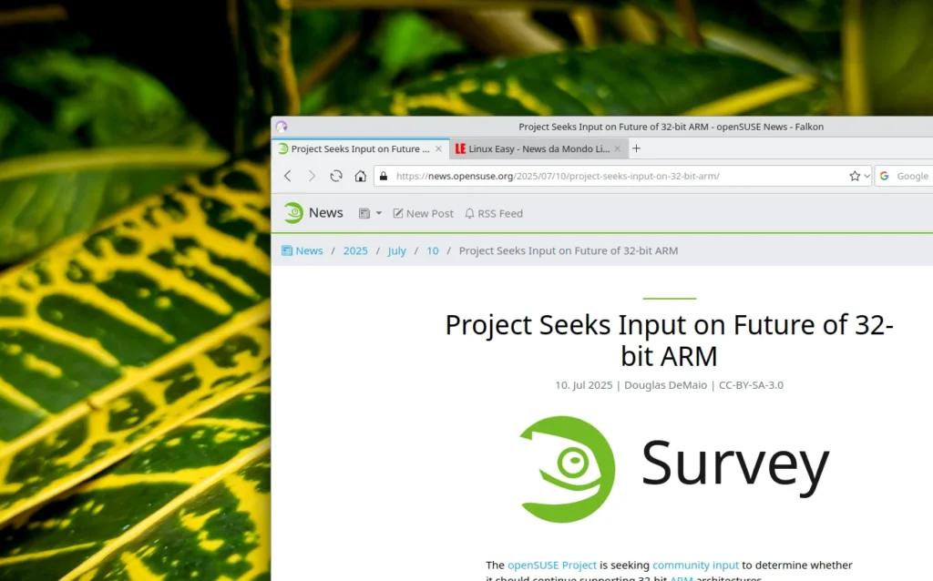 project seeks input on 32 bit arm
