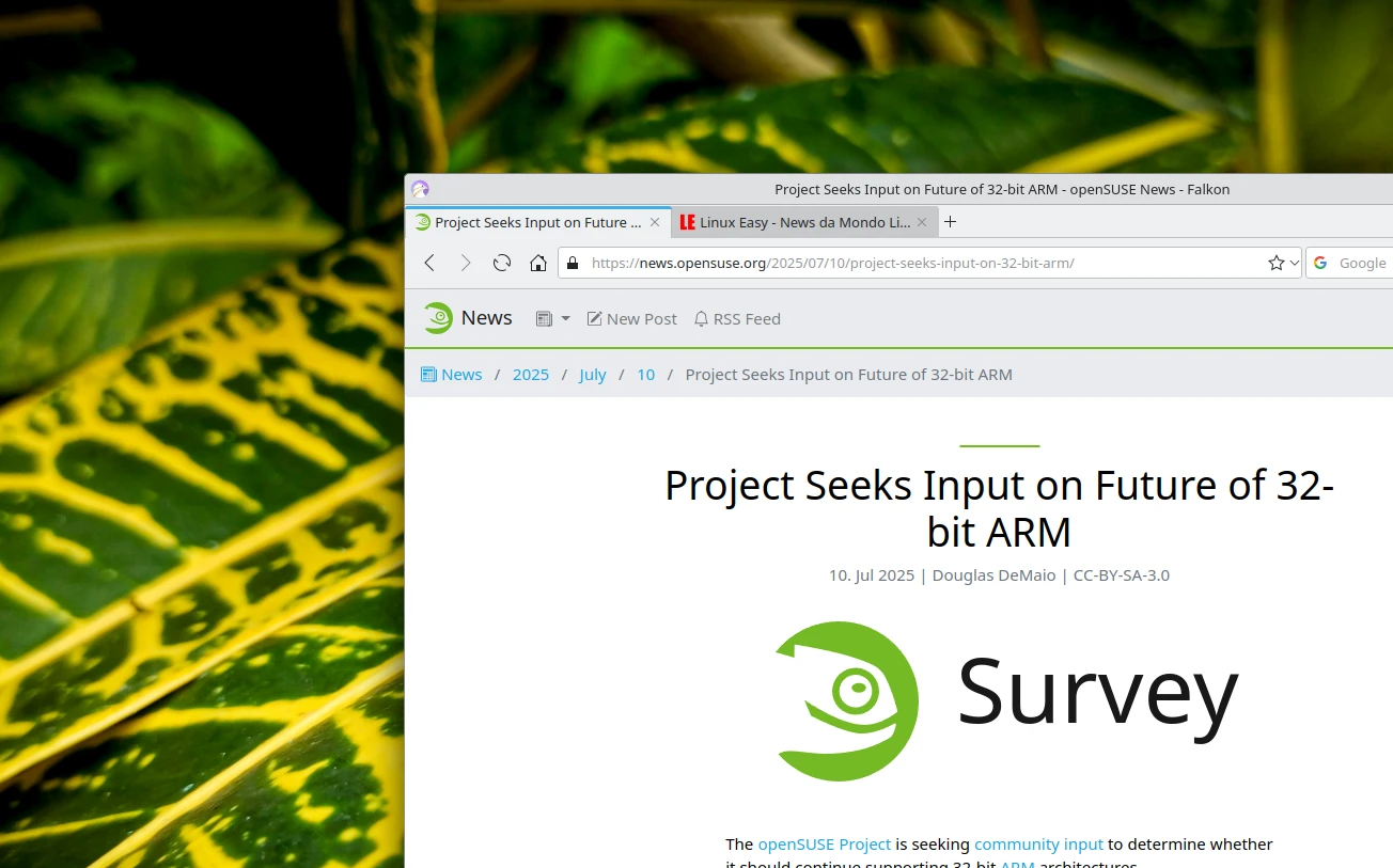 project seeks input on 32 bit arm
