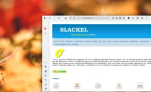 slackel