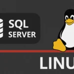SQL Server cresce su Linux ma Microsoft dice stop al supporto per SUSE