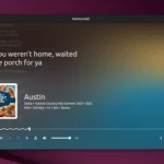 Harmonoid lettore musicale moderno e completo per Linux