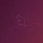 Ubuntu 25.10 svelato il nuovo sfondo e la mascotte ufficiale