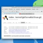 Bcachefs diventa “manutenuto esternamente”: la decisione di Linus Torvalds scuote il kernel Linux