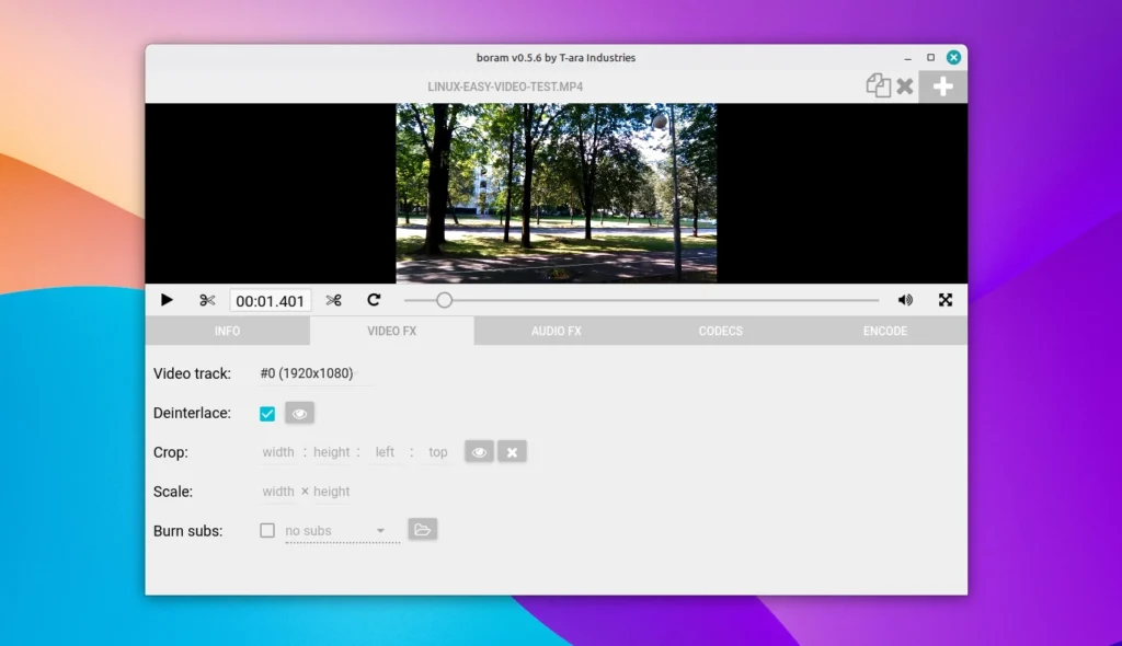 Boram convertitore WebM open source per Linux