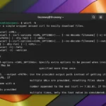 wcurl il comando semplificato per scaricare file da terminale su Linux