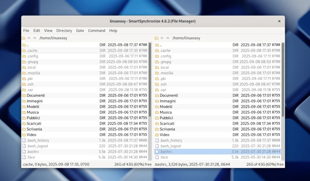 SmartSynchronize su Debian Linux