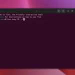 Fish Shell 4.0.6 evoluzione silenziosa della shell interattiva per Linux