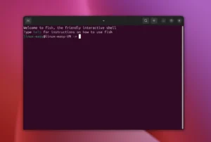 fish shell linux