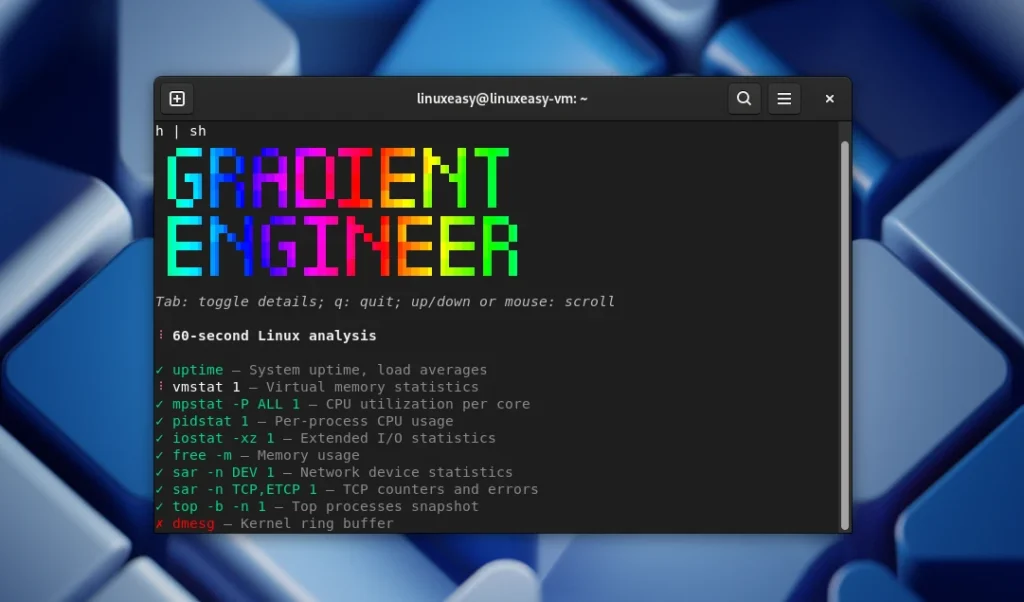 gradient.engineer Diagnosi Linux 