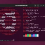 Come installare e attivare Neofetch su Linux