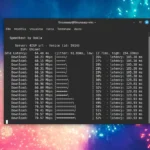 Speedtest CLI Ookla misurare la velocità Internet da terminale Linux