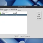 XAMPP su Linux: ambiente LAMP pronto all’uso per sviluppatori web