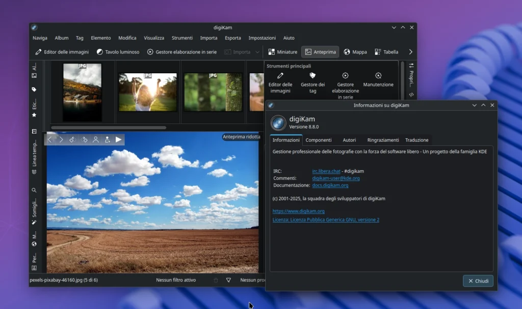 digiKam 8.8.0 su KDE Linux