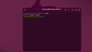 Liquorix 6.17 Linux Kernel