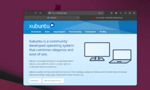 Scopri di più sull'articolo Il sito di Xubuntu compromesso: distribuito malware tramite link torrent