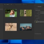 Tropy organizza e descrivi le tue foto di ricerca su Linux in modo professionale