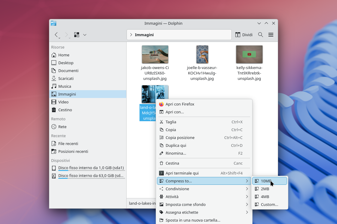 compress dolphin image