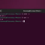 Come Installare Node.js su Ubuntu Linux