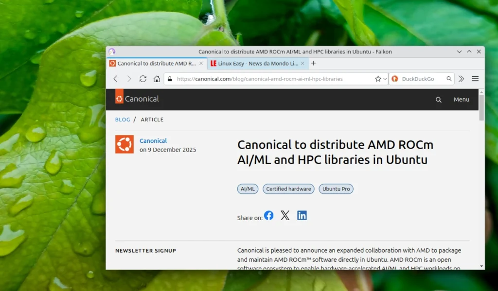 Canonical to distribute AMD ROCm AI
