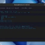 Decodifica Digitale su Linux grazie a DSD-FME (dsd-neo)