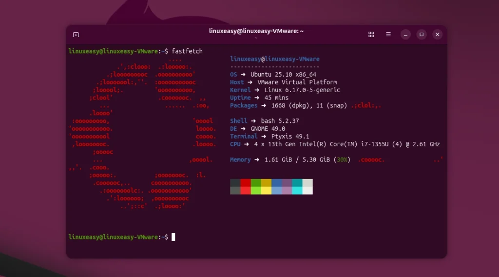 Fastfetch Ubuntu Linux