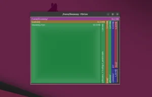 QFSView Ubuntu Linux